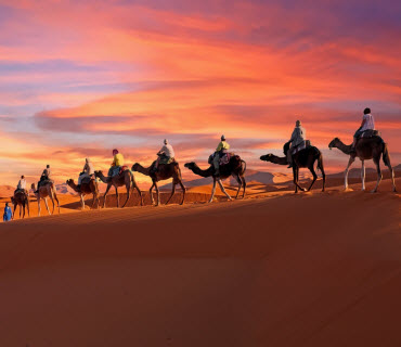 travelroot-uae-dubai-desert-safari